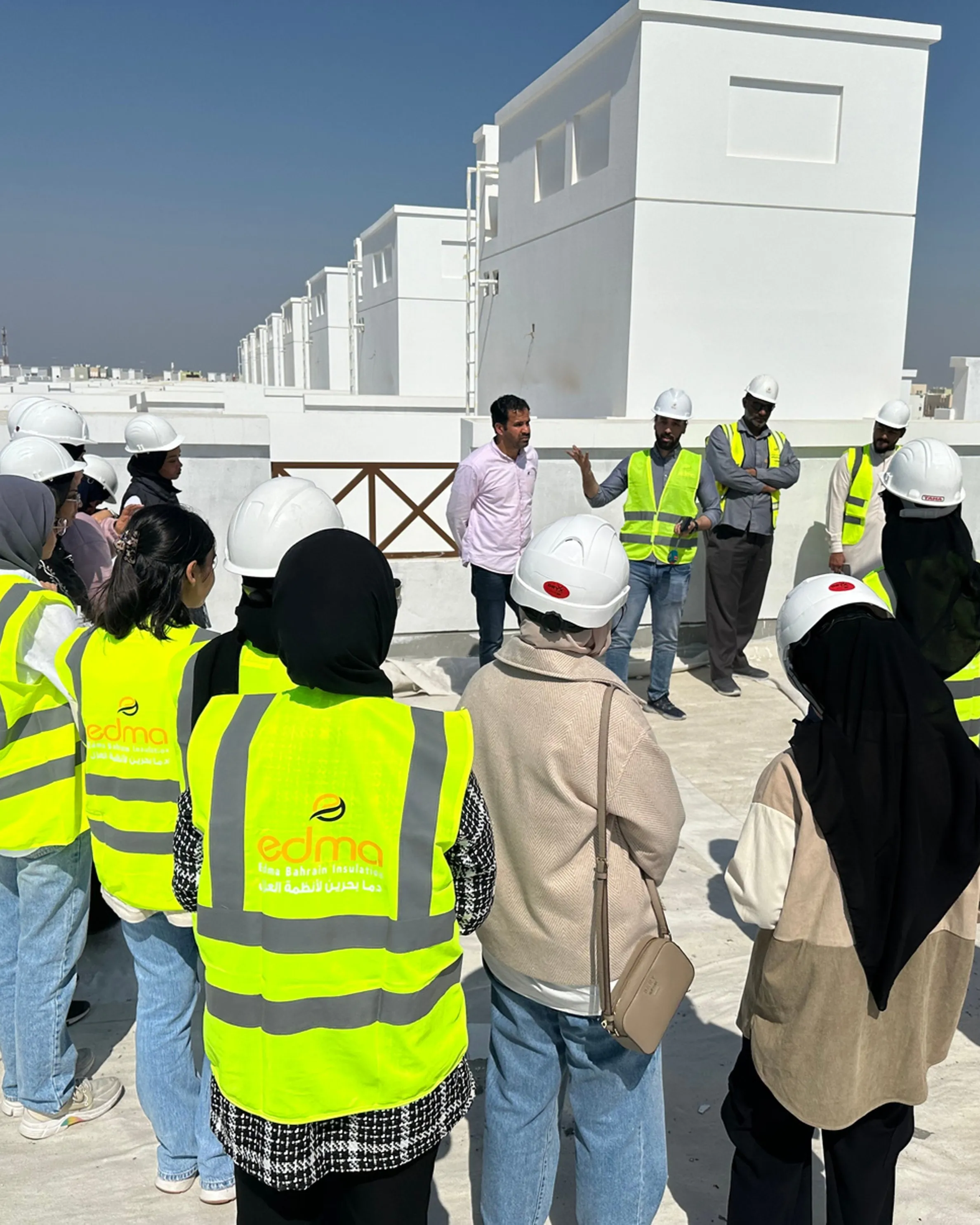 الاستشارات الفنية